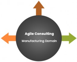 Agile Test Consulting - Manufacturing Domain
