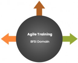 Agile Training - BFSI Domain