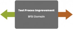 Test Process Improvement - BFSI Domain